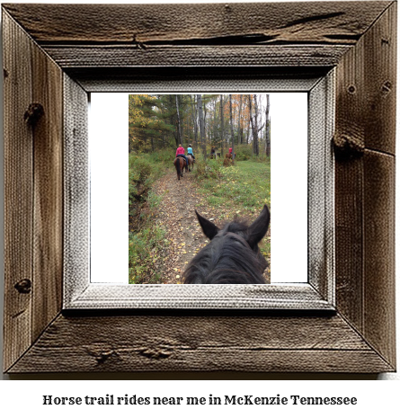 horse trail rides near me in McKenzie, Tennessee